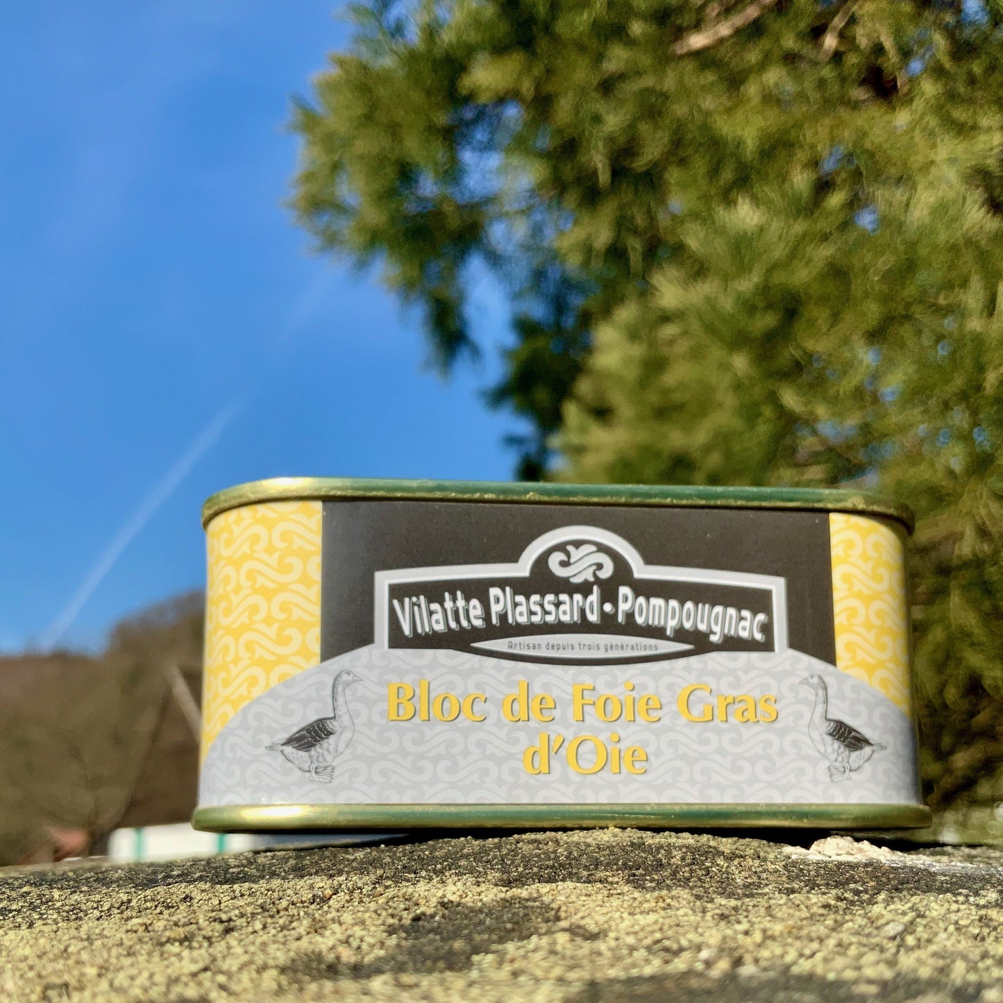 Gänseleber im Block, 200g - Perigord-Import