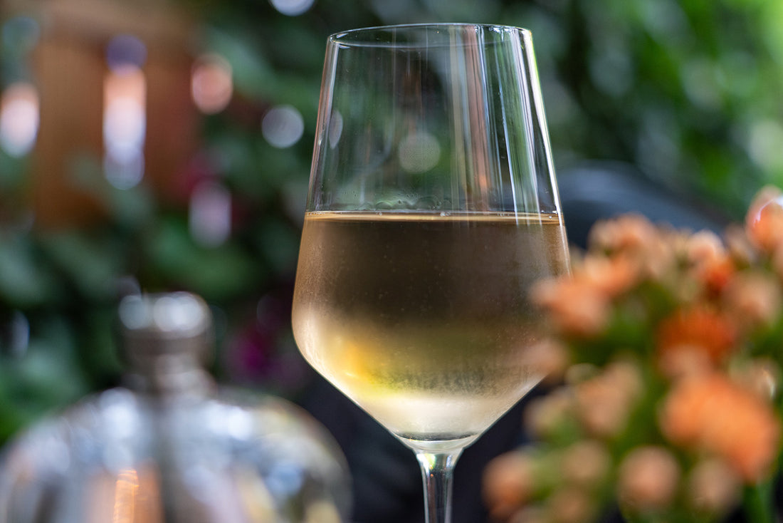 Sommerweine von Perigort-Import