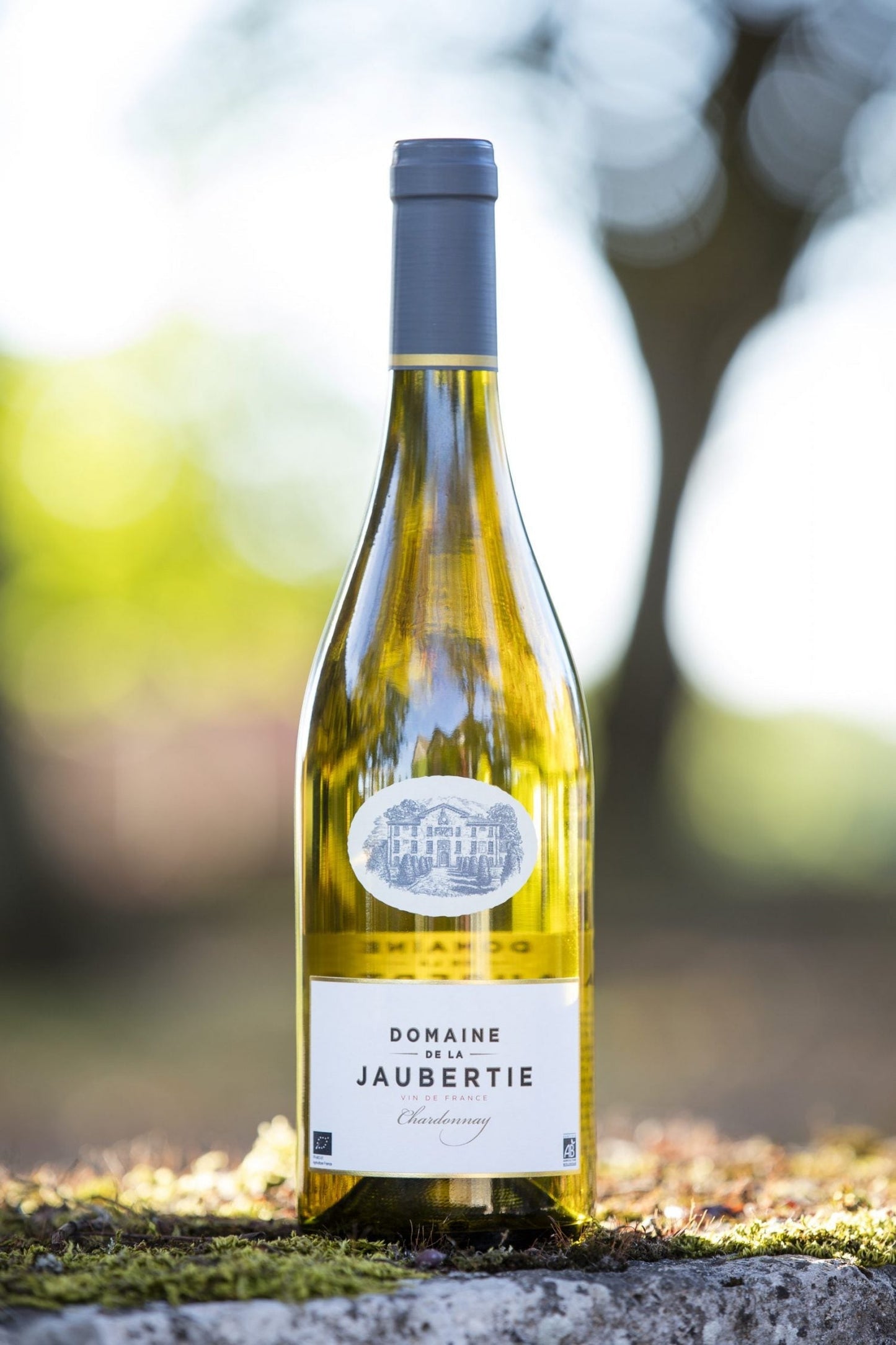 Château De La Jaubertie * Ryman * Chardonnay 2020 * Bergerac AC - Perigord-Import