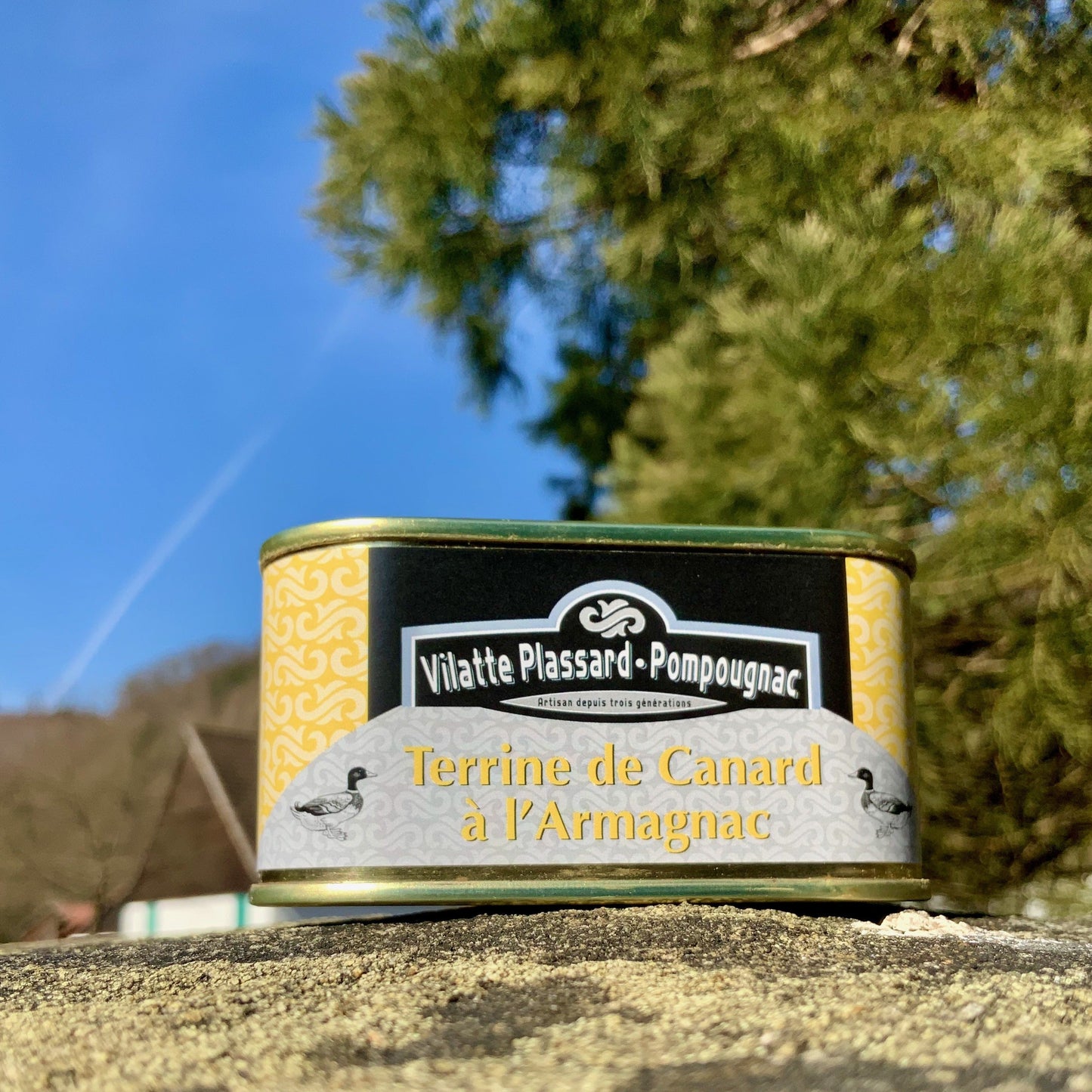 Ententerrine mit Armagnac, 130g - Perigord-Import