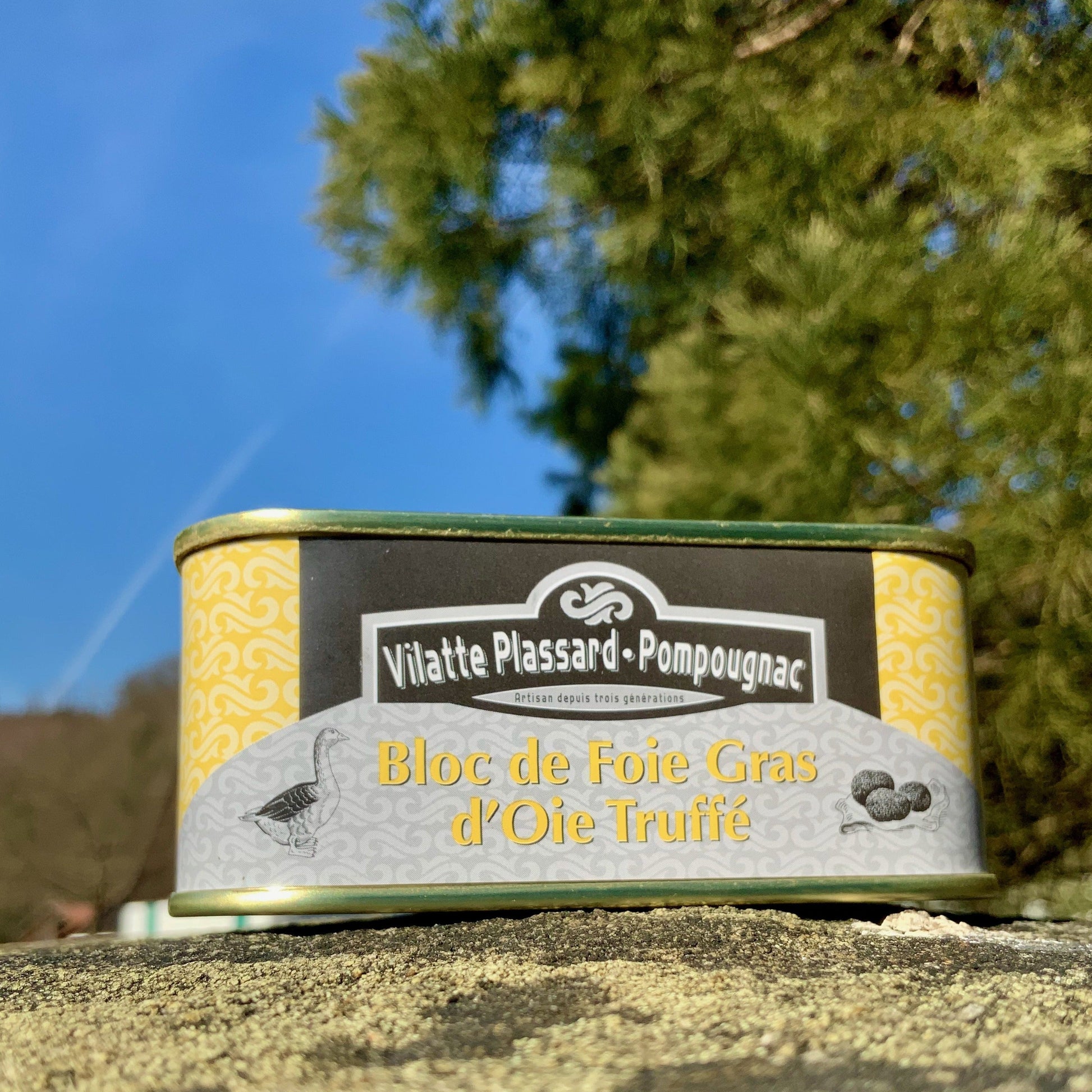 Getrüffelte Gänseleber im Block, 200g - Perigord-Import
